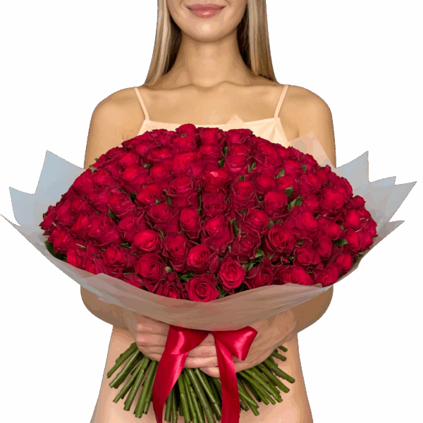 Cali - Colombia, bouquet de rosas - Buchón 150 rosas