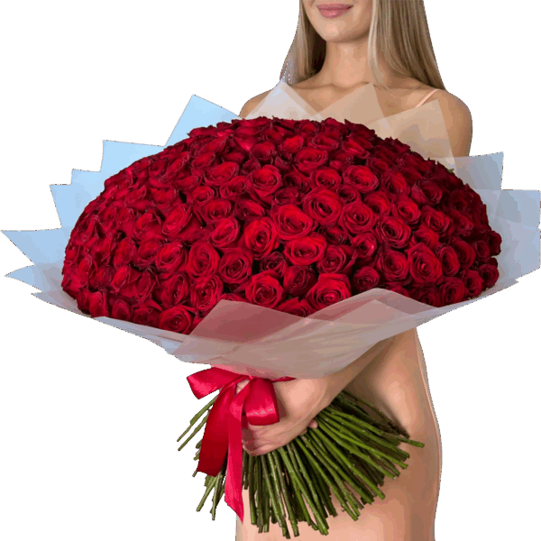 Cali - Colombia, bouquet 200 rosas - Floristería La Calidad