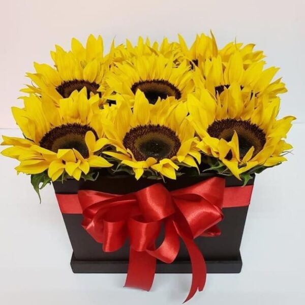 Girasoles en Caja - Girasoles cilindro